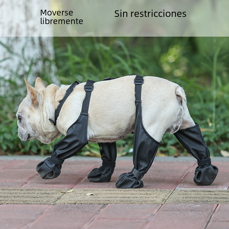 Zapatos impermeables para perros para toda temporada