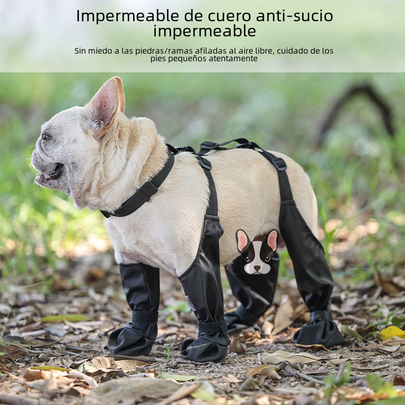 Zapatos impermeables para perros para toda temporada